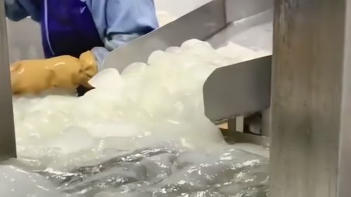 到食品廠上班后,我就對蘆薈酸奶沒興趣了,即使它再有營養我也不去吃