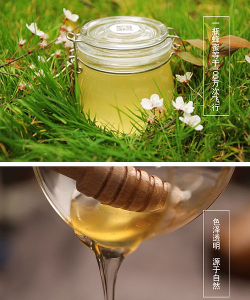 蜂蜜食品拍攝產品圖片制作淘寶詳情頁南陽淘邦電商美工