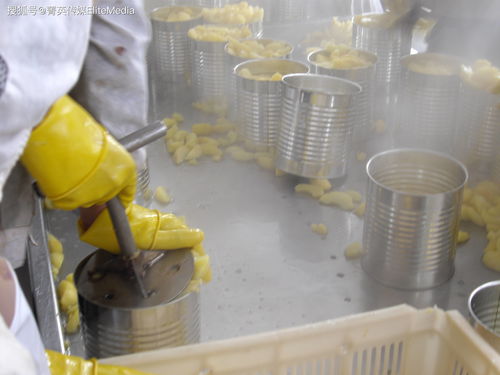 澳克拉食品orkla foods執行總裁應邀訪問孚美集團青島孚美食品工廠