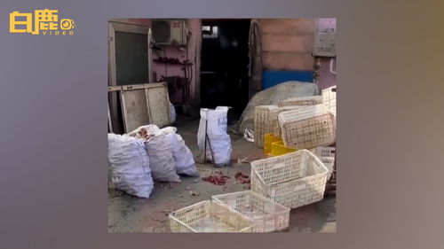 山東一男子往同事水里投亞硝酸鹽致其中毒