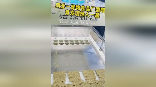 河北寵物食品廠使用磨牙草餅壓塊機,節約成本