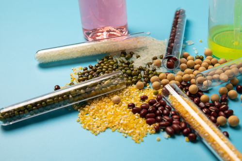 五谷食品安全農業科技食品培育攝影圖 插畫 下載至來源處